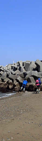 sea of kyushu