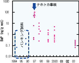 タンカー事故後の二枚貝中のベンゾピレンの濃度変化