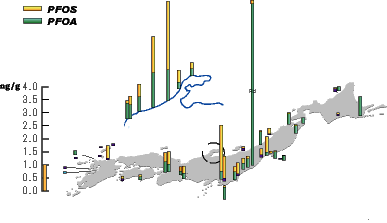 Distribution of PFOS and PFOA in bivalves