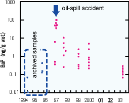 Trend of BaP in bivalve samples related to an oil-spill accident