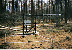 林床に設置した微気象観測システム類