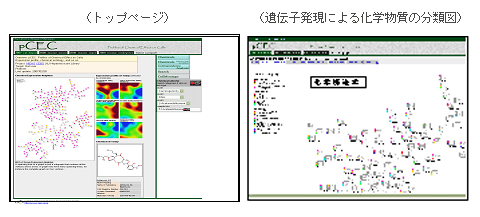 「化学物質類型化システム」サイトの画面イメージ