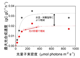 2010年5月12日の測定結果を元に作成した光—光合成曲線のグラフ