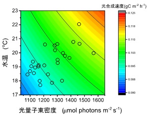  5月に観測された水温と光量子束密度、それに伴う光合成速度との関係のグラフ