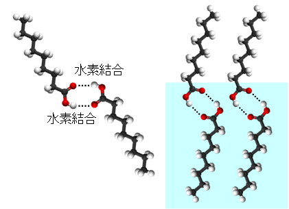 環状二量体を形成した2つのノナン酸分子。白色が水素原子、黒色が炭素原子の画像