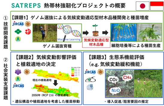 SATREPS熱帯林強靭化プロジェクトの概要の図