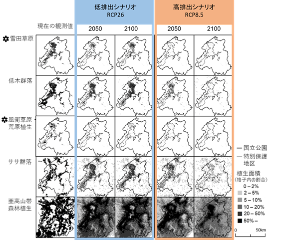 各植生面積の現在の観測値の分布と将来予測結果の図