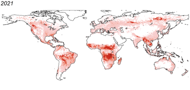 火災起源のバイオマス燃焼による全球のCO2放出量マップの例の図