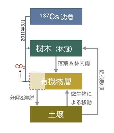 20230515-figure01の画像