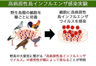 20230622-figure03-2の図