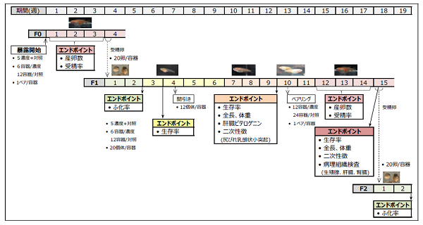 図1