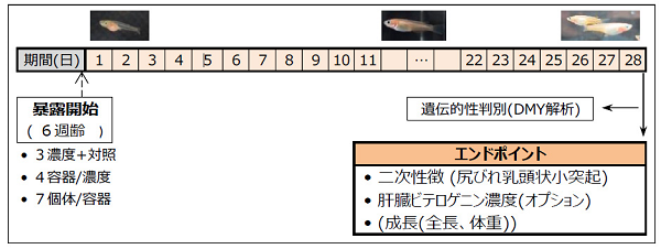 図2