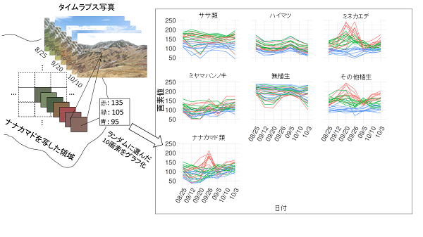 図1の画像