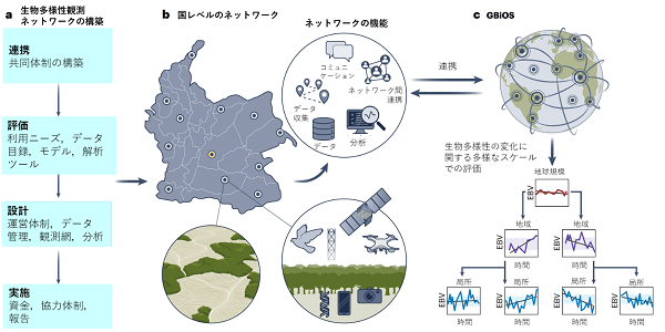 図1の画像