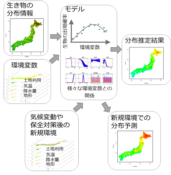 図2の画像