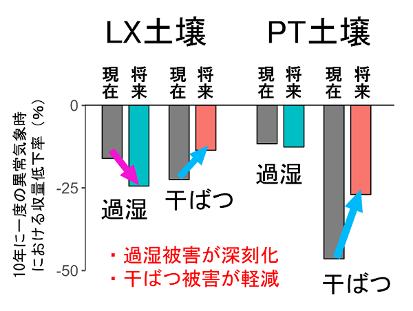 図3の画像