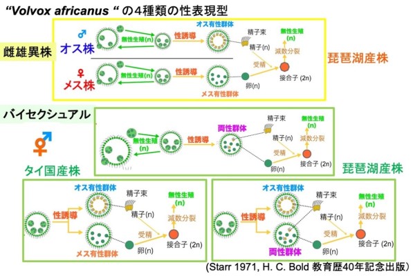 図1の画像