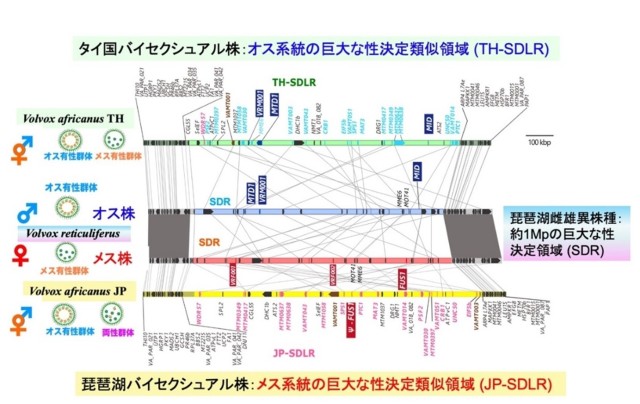 図4の画像