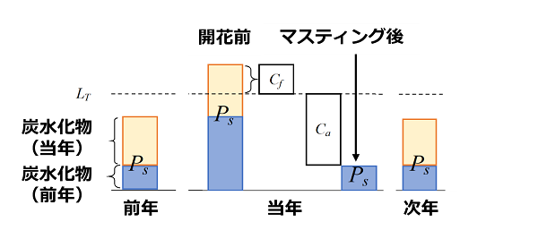 図1の画像