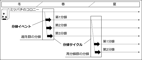 図2の画像