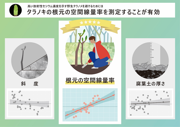 タラノキの根元の空間線量率を測定するイメージ画像