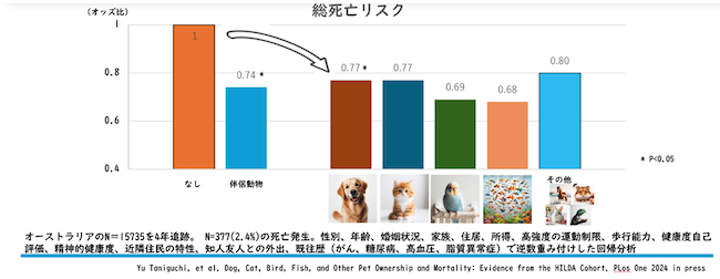 図1の画像