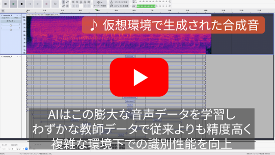 研究紹介ビデオの画像