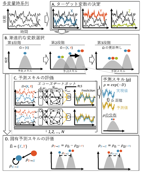 本研究で開発したEcohNetの概要の図