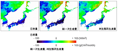 図６、純生態系生産量の月別値の偏差。図４と同様に、プラスの値が例年の７月よりも日射量や炭素吸収量が多かったことを表す。