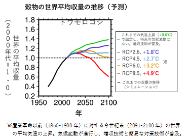 穀物の世界平均収量の推移（予測）のグラフ