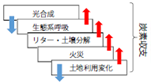 手法１の生態系モデルの図