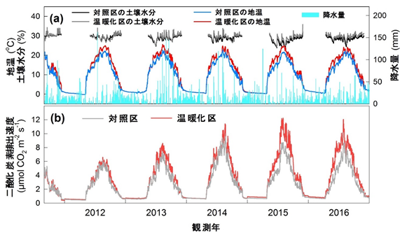 白神山地における2011年末から2016年末までの地温、土壌水分と降水量(a)、対照区と 温暖化区の二酸化炭素排出速度(b)の図