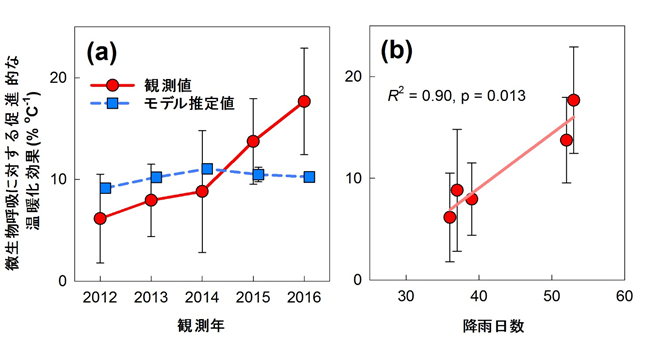 (a)微生物呼吸に対する年平均温暖化効果の実測値とモデル推定値の比較、(b)微生物呼 吸に対する年平均温暖化効果の実測値と降水日数の相関の図