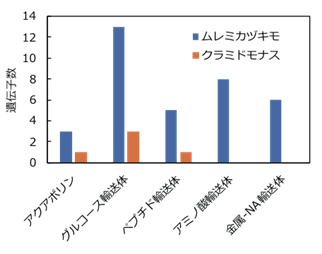 輸送体遺伝子数の比較の図