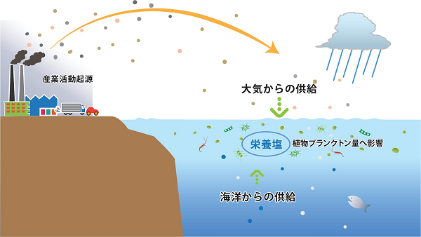 海洋表層における栄養塩の供給過程を表す概要図