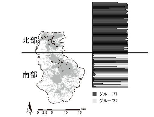 遺伝子頻度に基づくクラスタリングによって示された、徳之島南北における遺伝的分化の図