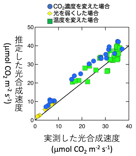 実際に測定した光合成速度と、クロロフィル蛍光及び光化学反射指数に基づくモデルを使って推定した光合成速度の比較した図