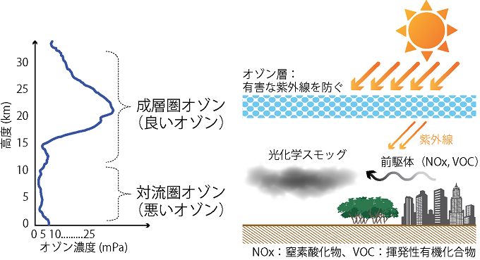 成層圏オゾンと対流圏オゾンの違いを表した図