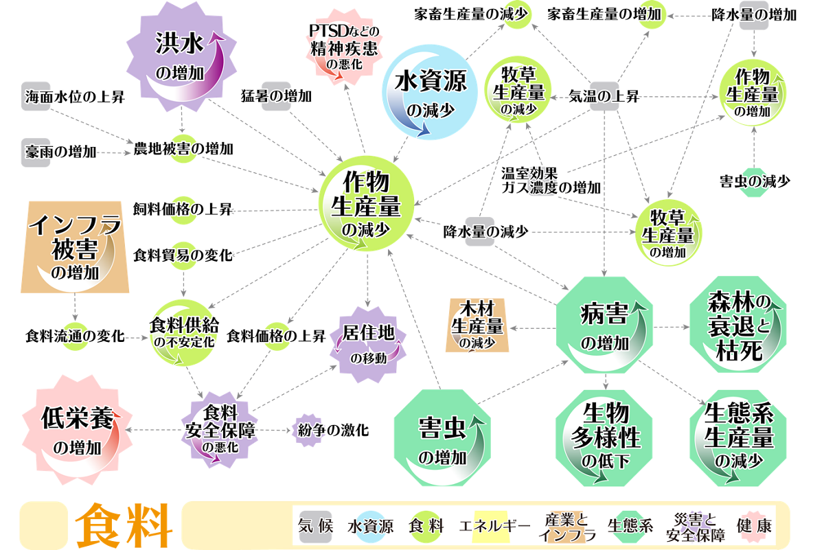 気候変動による影響の連鎖の可視化に成功ー地球温暖化問題の全体像を人々が理解することに貢献ー 18年度 国立環境研究所