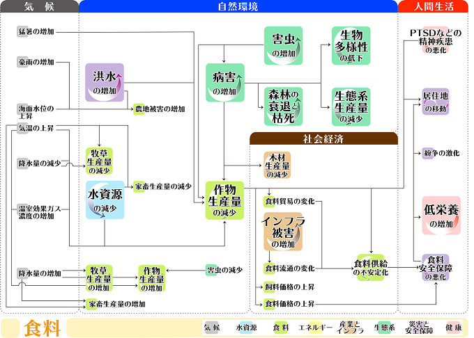 食料分野に関わる気候変動影響連鎖を表した図