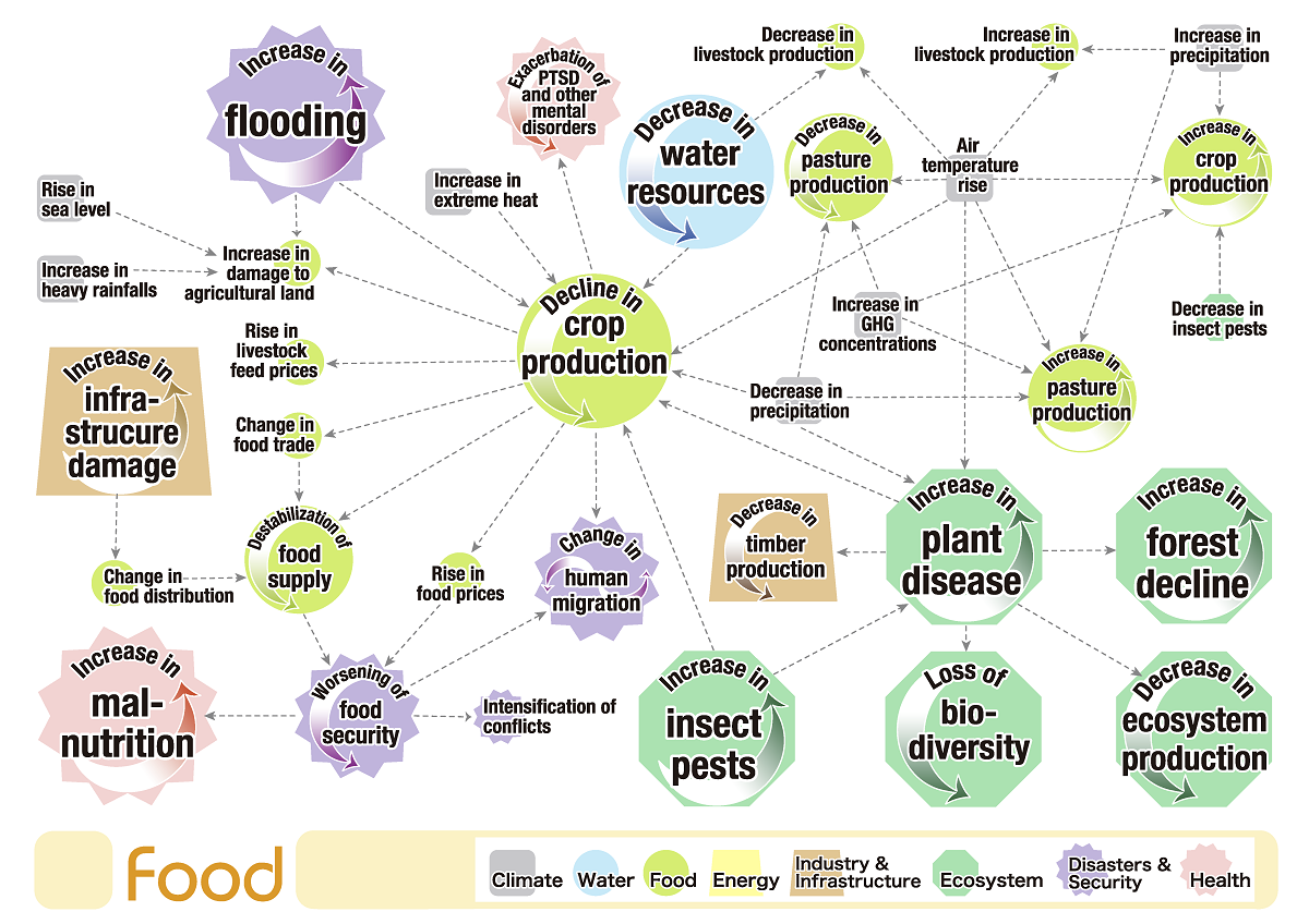 case study on climate risk