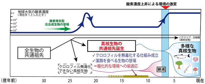 地球大気の酸素濃度と生物出現の相関図の画像