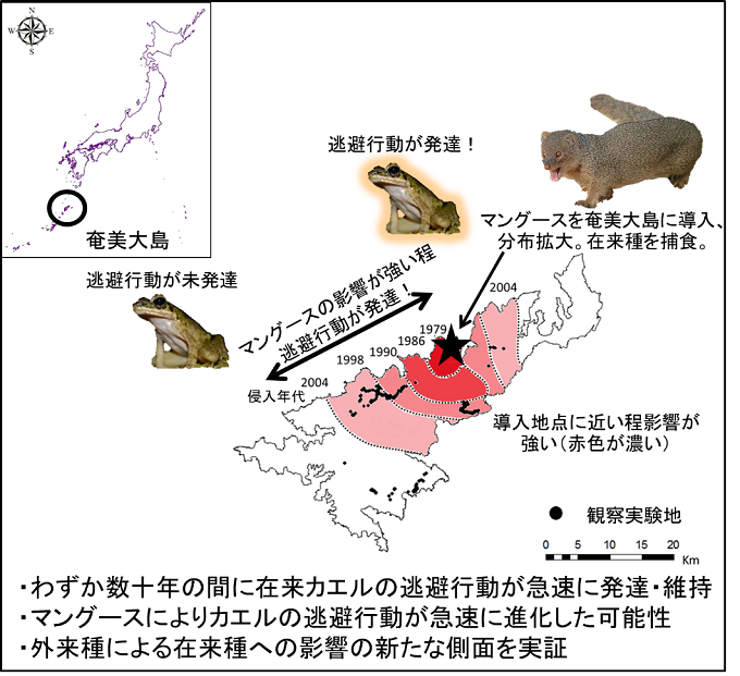 研究の概要を示した図