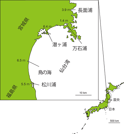 延べ10年にわたる継続調査を行った5つの干潟と干潟周辺で観測された津波の高さを表した図の画像