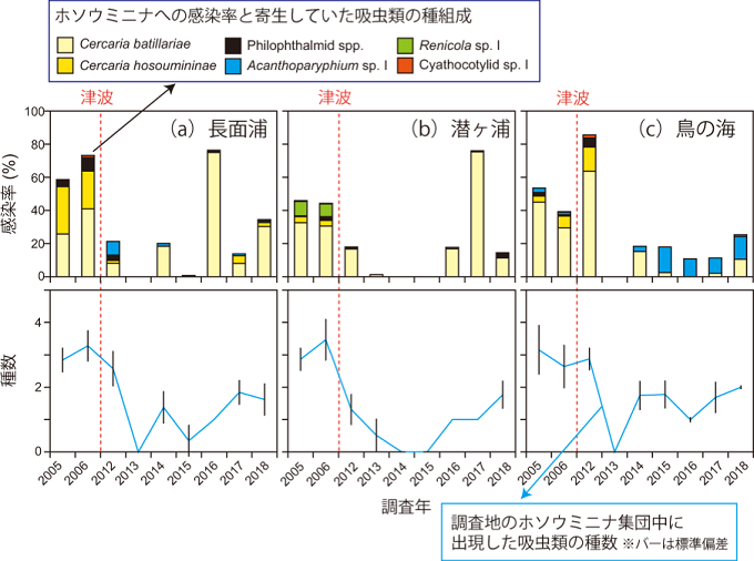 震災前後におけるホソウミニナへの二生吸虫の感染率と種組成、および寄生されたホソウミニナ一個体当たりの平均出現種数の図