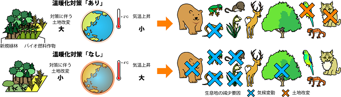 研究の概要の図