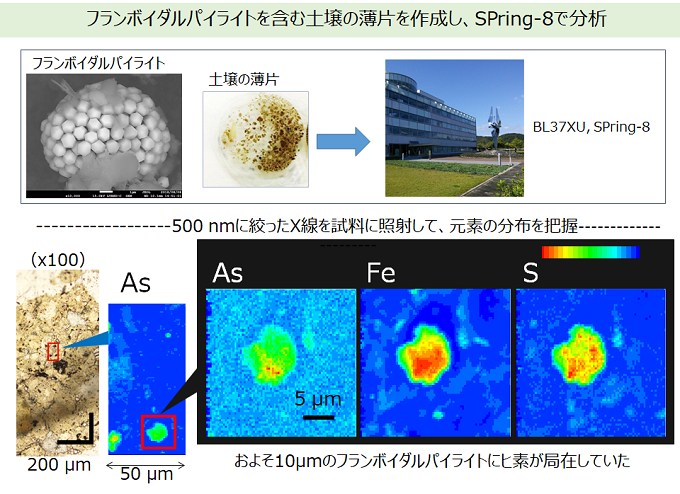 自然由来のヒ素を含む土壌に存在するフランボイダルパイライトの分析の図