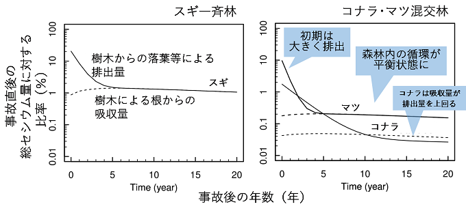 スギ一斉林・コナラ･マツ混交林におけるセシウムの循環量のコンピュータシミュレーション推定結果を表した図