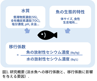 研究概要を表した図