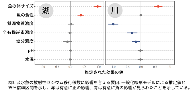 淡水魚の放射性セシウム移行係数に影響を与える要因の図